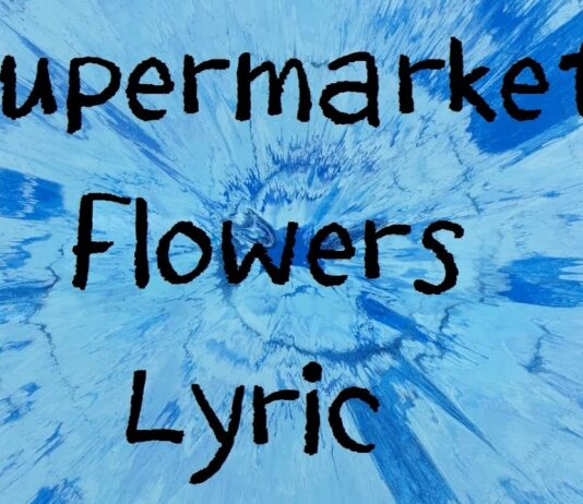 “Supermarket Flowers” Ed Sheeran Lyrics